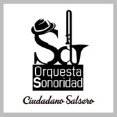 Ciudadano Salsero artwork