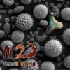 N23 - N-Rgy