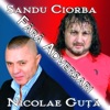 Nicolae Guță - Femeie Tare