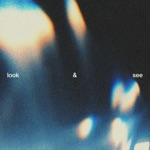 Look & See - Single