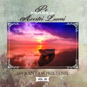 Pe marea acestei lumi, Vol. 20 artwork