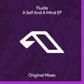 Fluida - A Self and a Mind