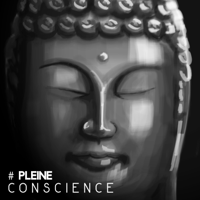 Méditation Sanctuaire de Guérison & Bouddha musique sanctuaire - # Pleine conscience: Méditation pour l'équilibre intérieur, Guérison spirituelle, Apaiser son âme artwork