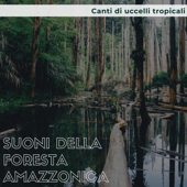 Suoni della foresta amazzonica - Canti di uccelli tropicali & musica per massaggi - Amazzone Verde