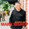 Are You Ready For Perfect Love? - Mark Bishop lyrics