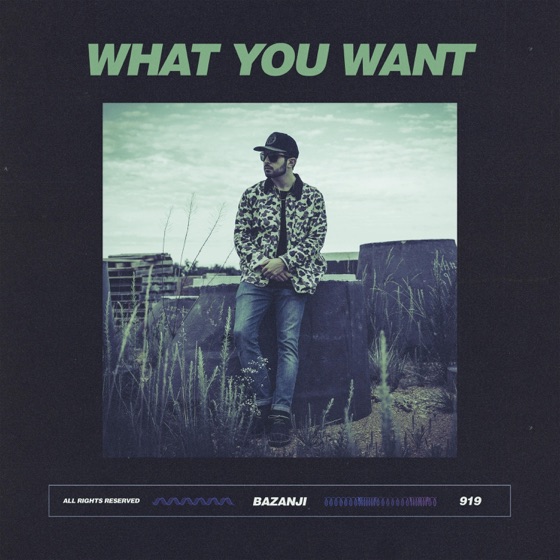 Cover artwork for What You Want