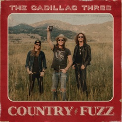 COUNTRY FUZZ cover art