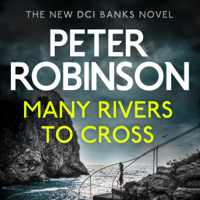 Peter Robinson - Many Rivers to Cross artwork