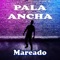 Triste Realidad - pala ancha lyrics