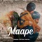 Maape (feat. Master Rakesh & Bobby Kang) artwork