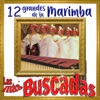 Las Más Buscadas, Las 12 Grandes de la Marimba artwork