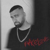 FakeLove artwork