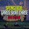 SpongeBob: Grass Skirt Chase - [Rude E9 Remix] artwork