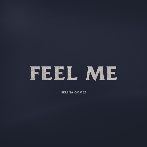 Cover artwork for Feel Me