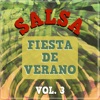 Salsa - Fiesta de Verano, Vol. 3, 2019