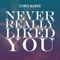 Never Really Liked You (Extended Mix) artwork