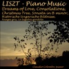 Liszt, Piano Music: Dreams of Love, Consolations, Christmas Tree, Sonata in B Minor, Historische Ungarische Bildnisse, Nuages gris, La lugubre Gondola