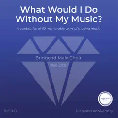 What Would I Do Without My Music? by Bridgend Male Choir album reviews, ratings, credits