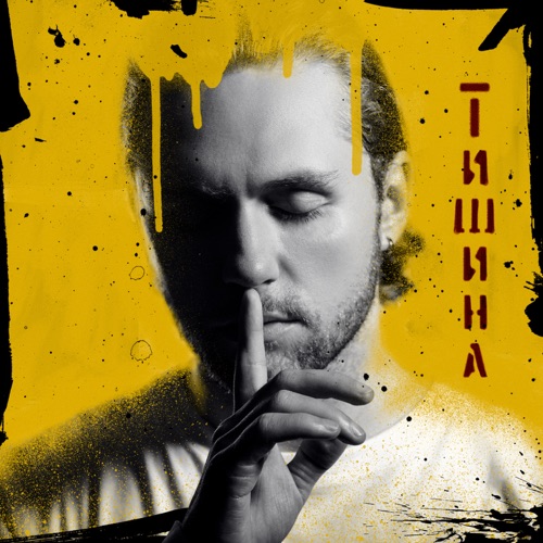 cover for track Тишина - Single of artist Влад Соколовский