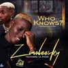 Who Knows (feat. Lil Frosh) - Single
