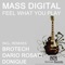 Feel What You Play - Mass Digital lyrics