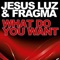 What Do You Want (DJ Ortzy Remix) - Jesus Luz & Fragma lyrics