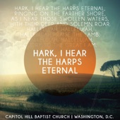 Hark, I Hear the Harps Eternal artwork