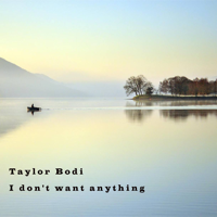 Taylor Bodi - I Don't Want Anything artwork