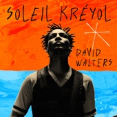 Soleil Kréyol (feat. Vincent Segal) artwork