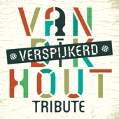 Van Dik Hout (Verspijkerd) artwork