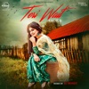 Teri Wait (Remix) - Single