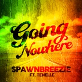 Going Nowhere (feat. Tenelle) artwork