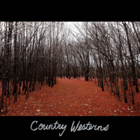 Country Westerns - Gentle Soul - Single artwork