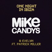One Night in Ibiza artwork