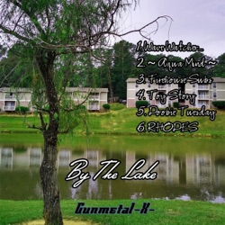 Gunmetal-X- - Firehouse Subs