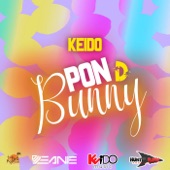 Pon d Bunny artwork