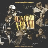 Te Extraño A Lo Vio (RMX) artwork