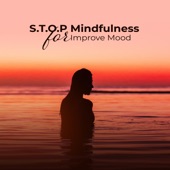 S.T.O.P Mindfulness for Improve Mood artwork