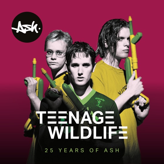 Cover artwork for Saskia