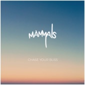 Chase Your Bliss artwork