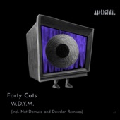 W.D.Y.M. (Dowden Remix) artwork