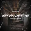 Stream & download Why You Lie to Me (feat. Nikko Culture) [Nikko Culture Remix]