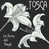 La Furia Del Tango