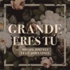 Grande Eres Tú (feat. JOHN VINCE) - Single