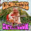 Super Bloom album lyrics, reviews, download