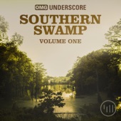 Southern Swamp, Vol. 1 artwork
