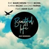 Beautiful Life - 2019 Remixes (feat. Adam Clay) - EP