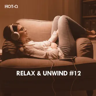 Relax & Unwind, Vol. 12 by Hot-Q album reviews, ratings, credits