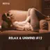 Relax & Unwind, Vol. 12 album cover