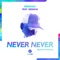 Never Never (feat. Indiiana) [Skytech Remix] artwork